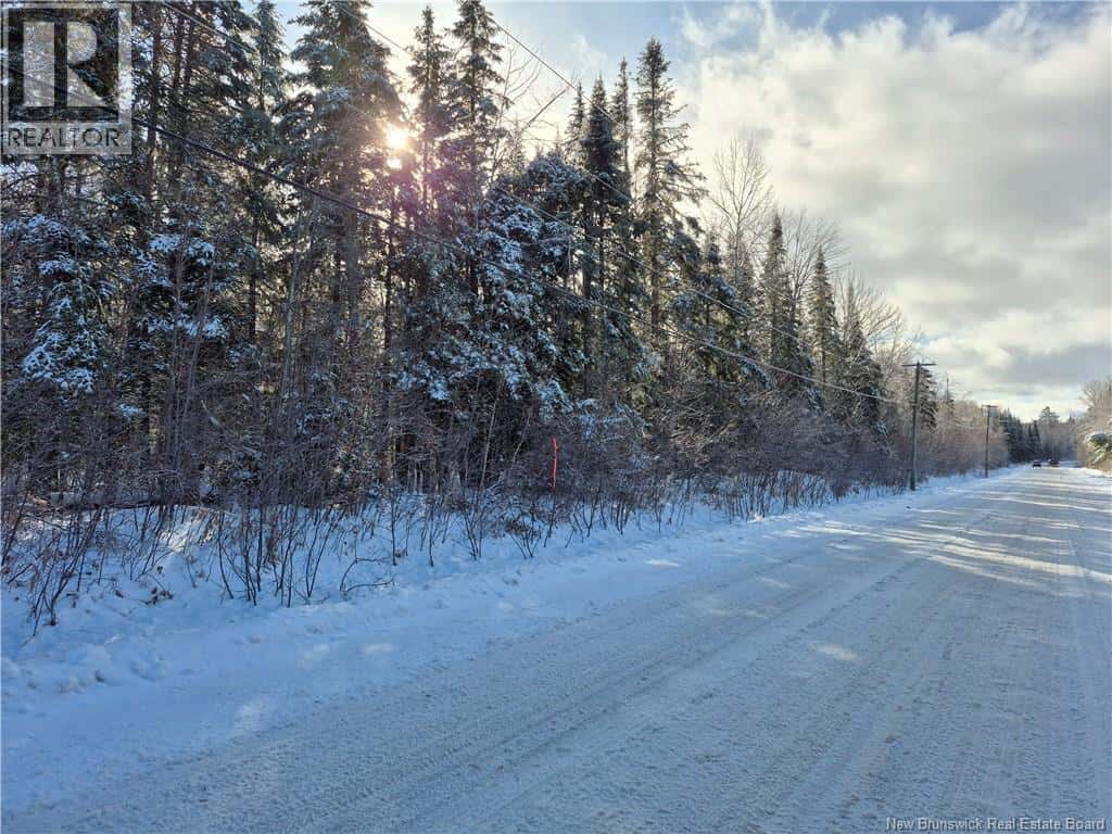 Durham Bridge — Durham Bridge - Photo 3 of 4