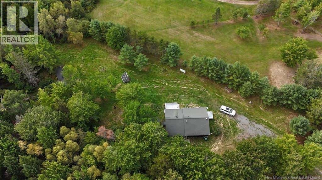 Burpee — Burpee - Photo 5 of 19