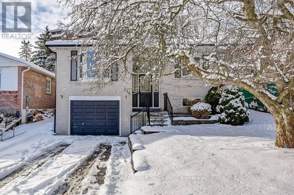 Newmarket (Central Newmarket) — Newmarket (Central Newmarket) - Main photo