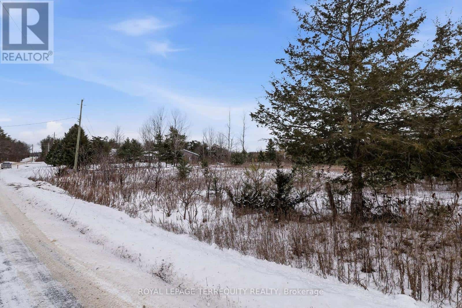 Trent Hills — Trent Hills - Photo 3 of 13