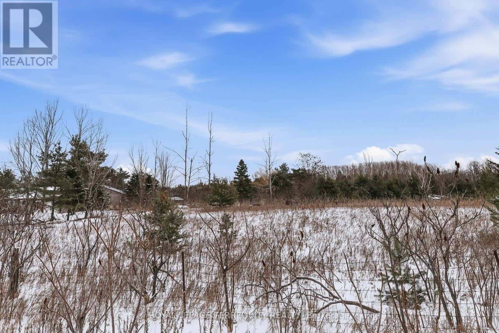 Trent Hills — Trent Hills - Photo 2 of 13