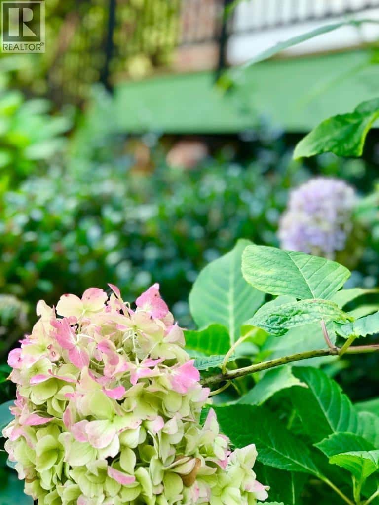 6486 BRUCE STREET — West Vancouver - Photo 4 of 11