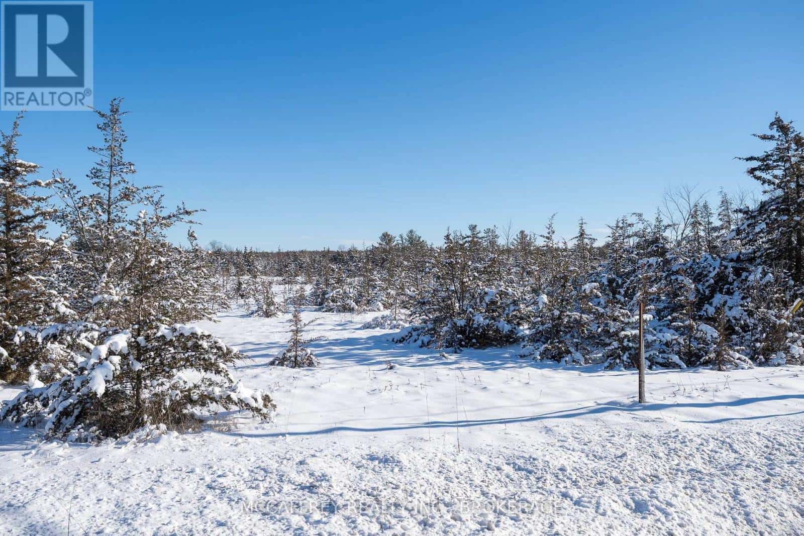 Greater Napanee (Greater Napanee) — Greater Napanee (Greater Napanee) - Photo 5 of 40