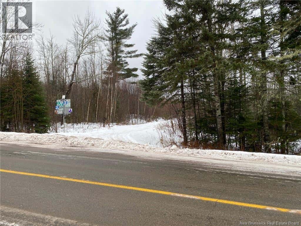 McQuade — McQuade - Photo 2 of 12