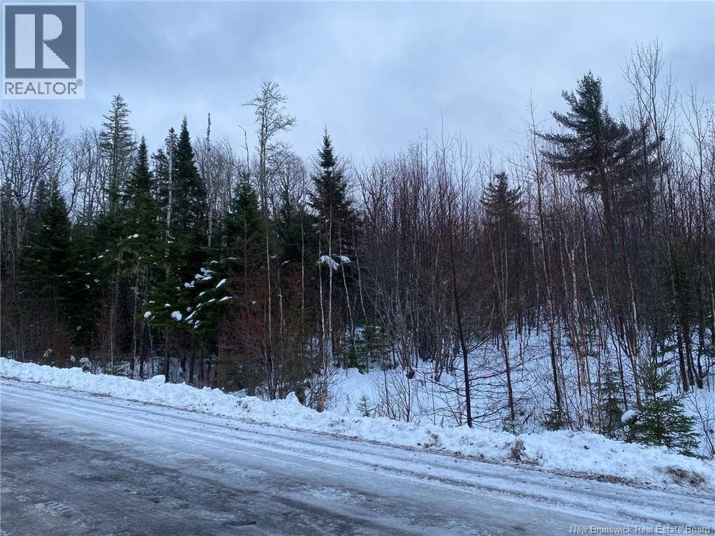 McQuade — McQuade - Main photo