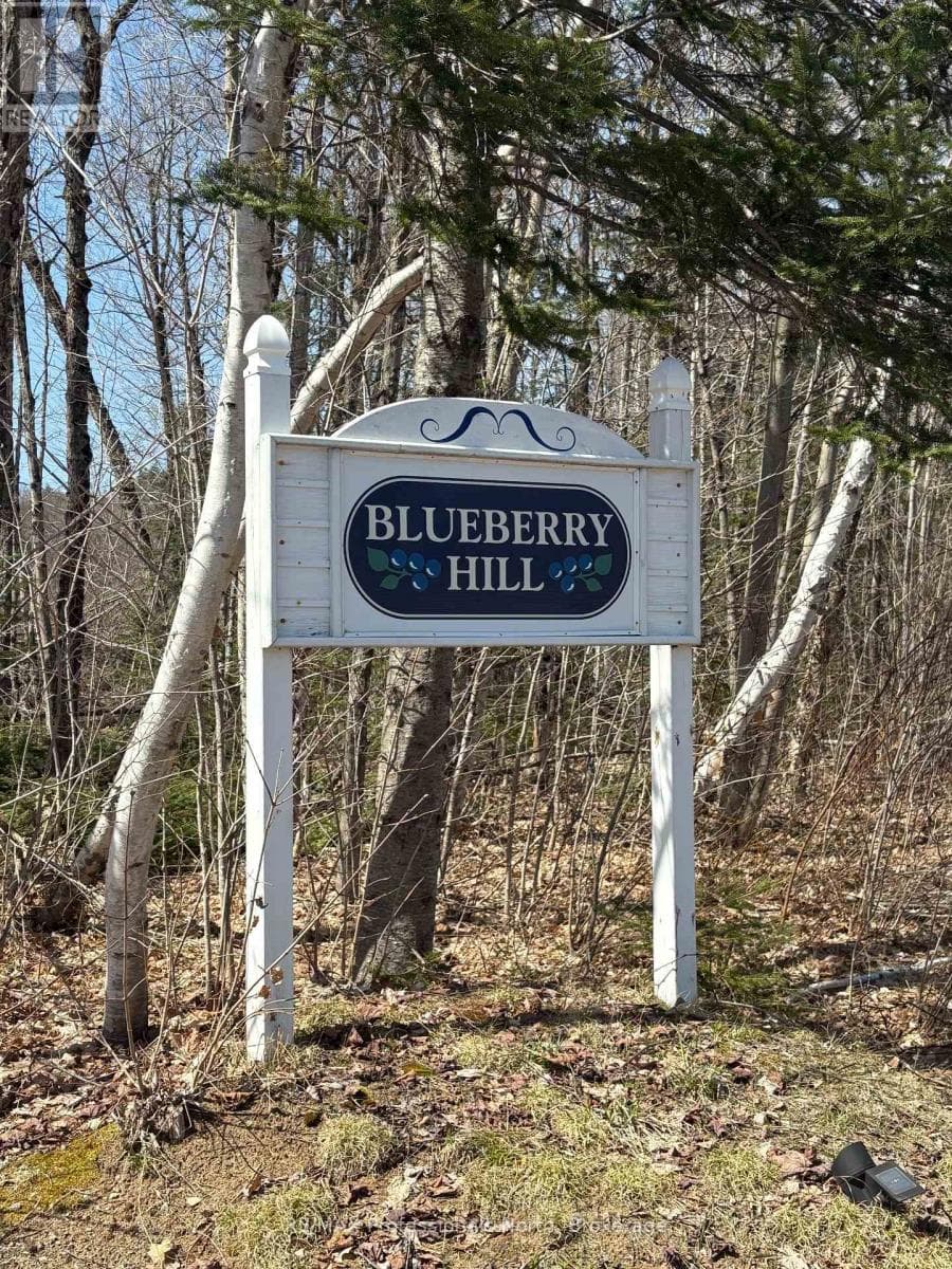 Algonquin Highlands (McClintock) — Algonquin Highlands (McClintock) - Main photo