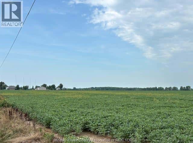 V/L COUNTY ROAD 8 — Essex, Ontario - Photo 3 of 3