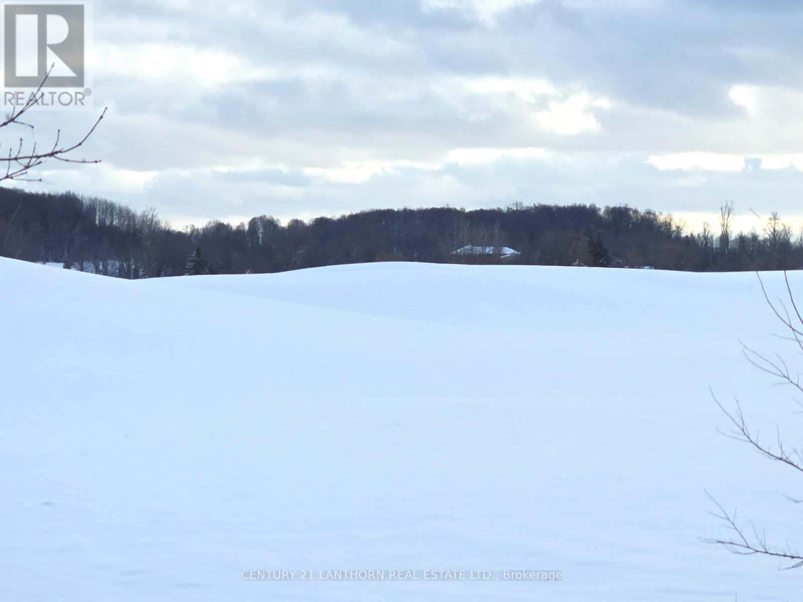 Belleville (Thurlow Ward) — Belleville (Thurlow Ward) - Photo 4 of 19