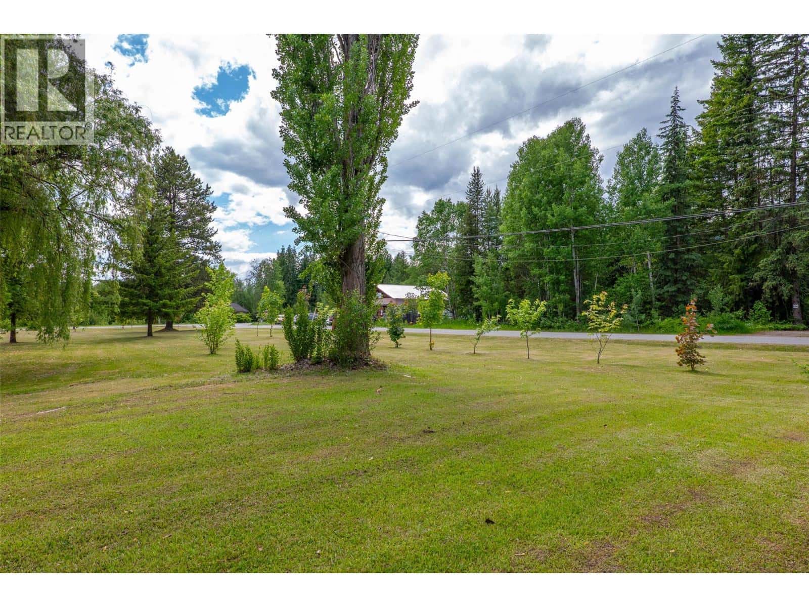 Clearwater — Clearwater - Photo 3 of 48