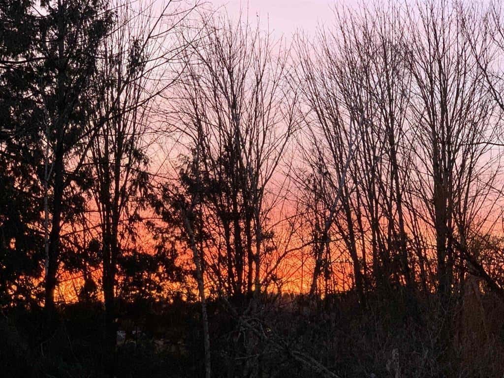 Abbotsford — Abbotsford - Photo 5 of 5