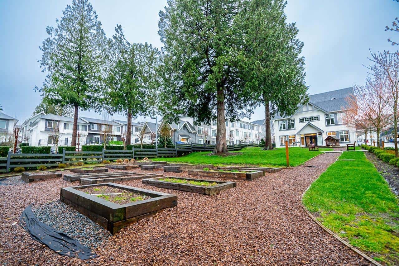 Surrey — Surrey - Photo 2 of 35