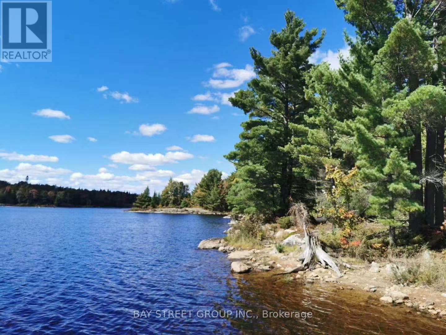 McMurrich/Monteith (Monteith) — McMurrich/Monteith (Monteith) - Main photo