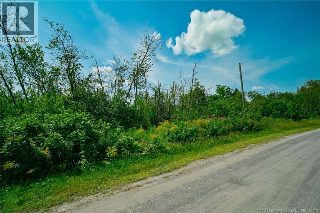 Saint-Léonard — Saint-Léonard - Photo 3 of 37