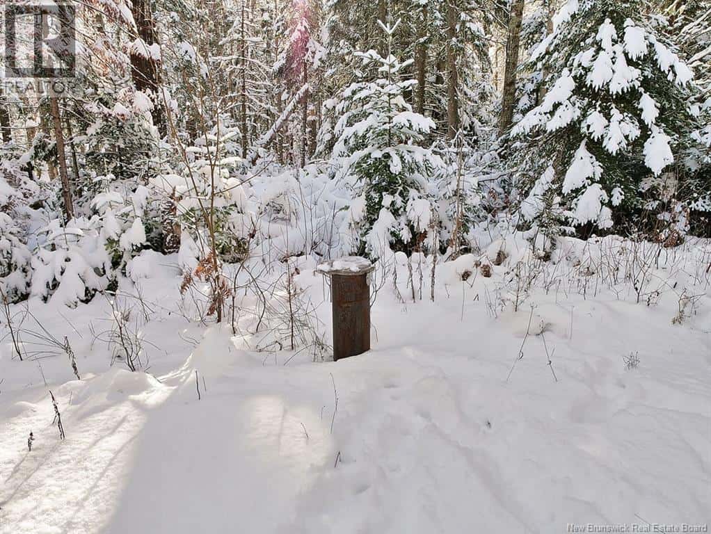 Galloway — Galloway - Photo 3 of 37