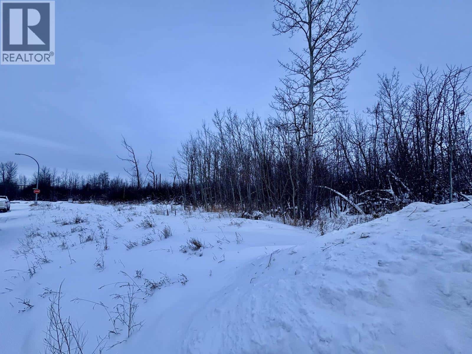 9015 74 STREET — Fort St. John, British Columbia - Photo 4 of 6