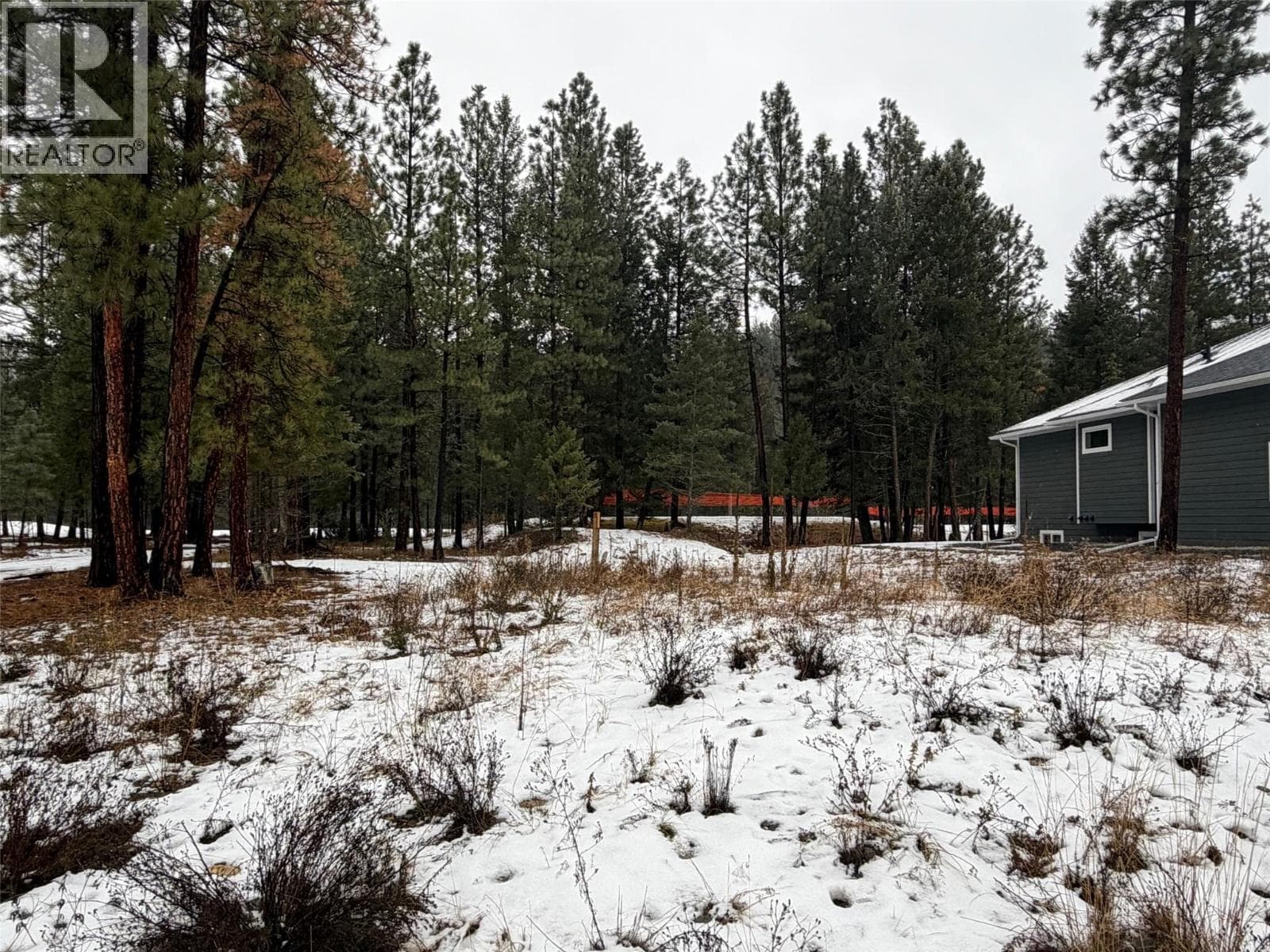 Cranbrook — Cranbrook - Main photo