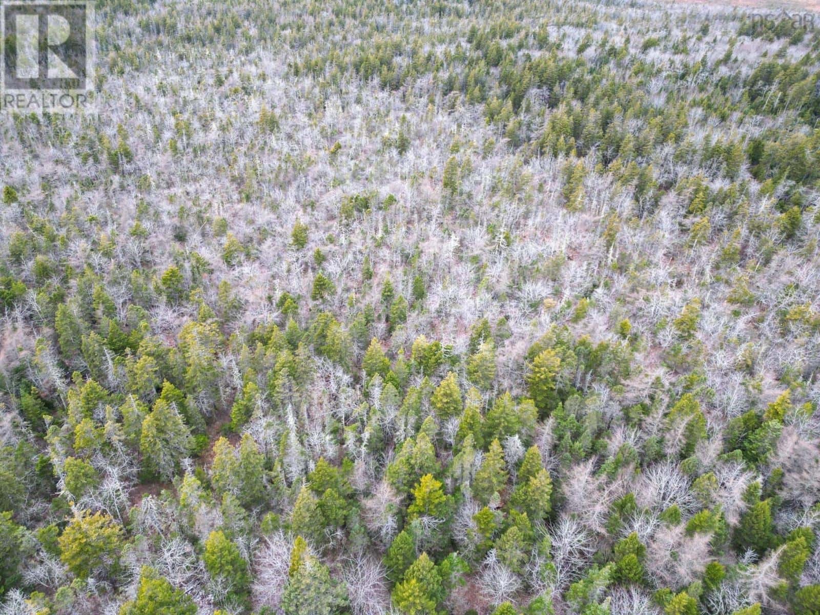 St. Alphonse — St. Alphonse - Photo 4 of 12