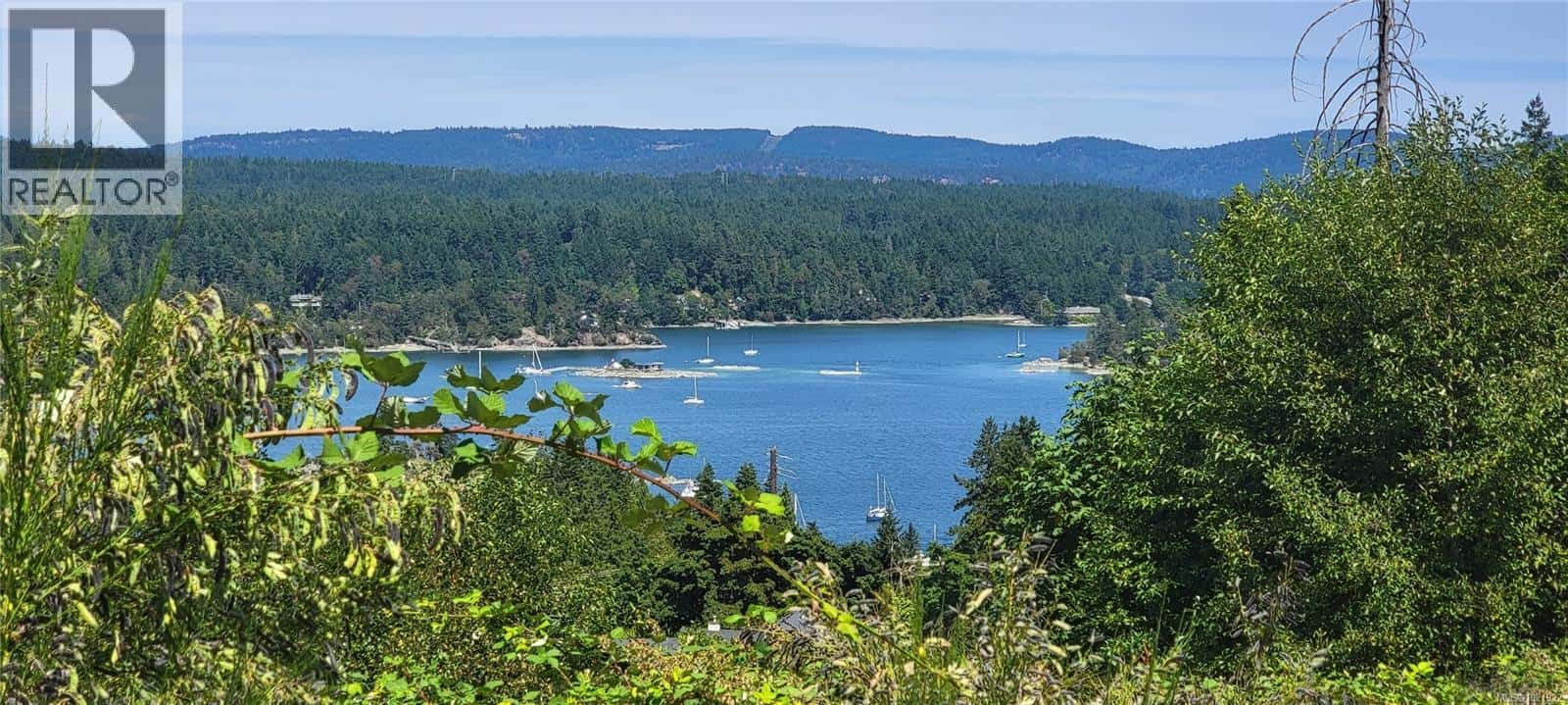 Salt Spring — Salt Spring - Photo 3 of 31