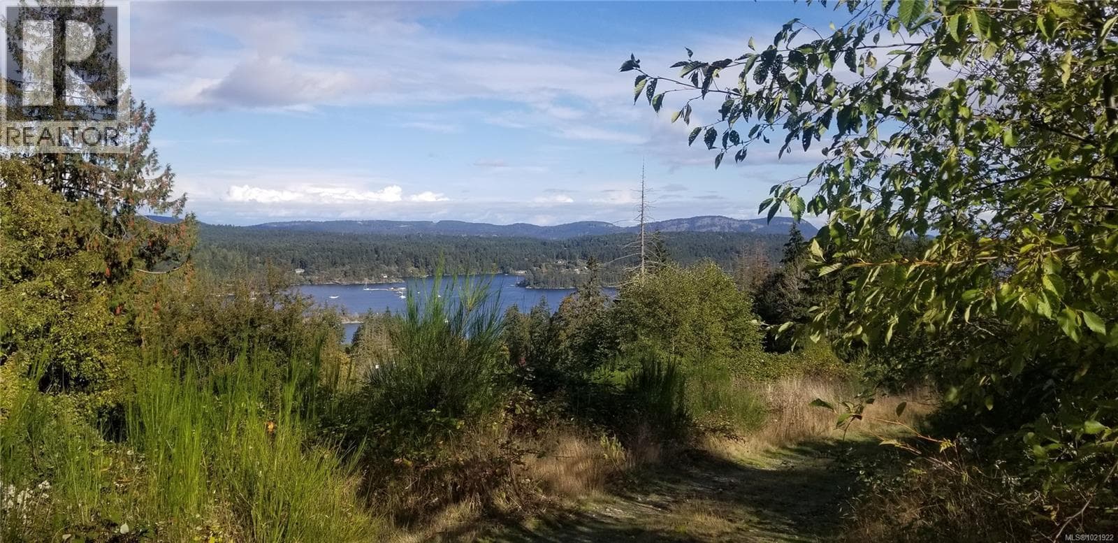 Salt Spring — Salt Spring - Main photo