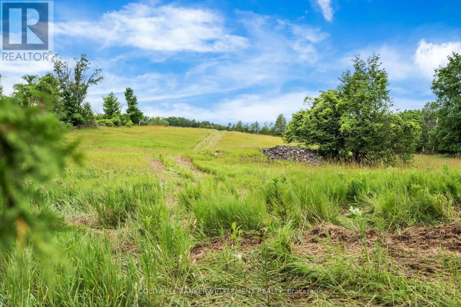 Lanark Highlands — Lanark Highlands - Photo 4 of 9