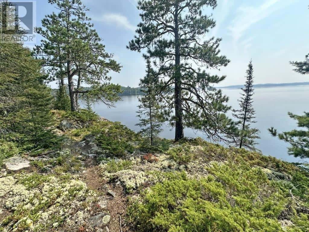 Northern Light Lake — Northern Light Lake - Photo 3 of 50