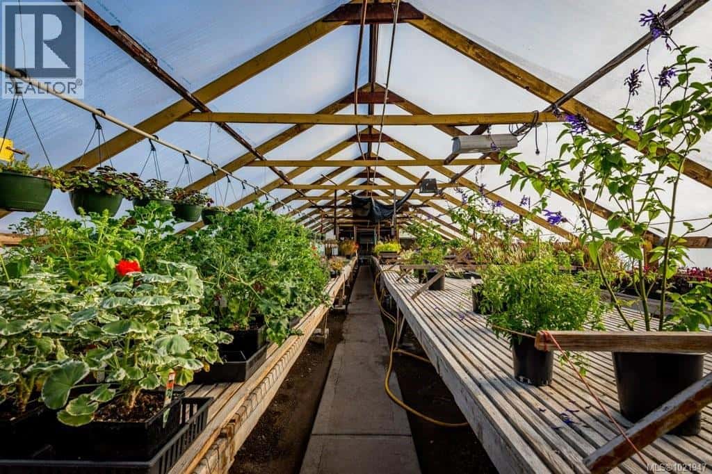 Comox — Comox - Photo 5 of 63