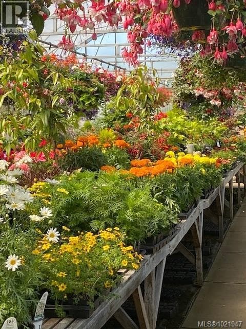 Comox — Comox - Main photo