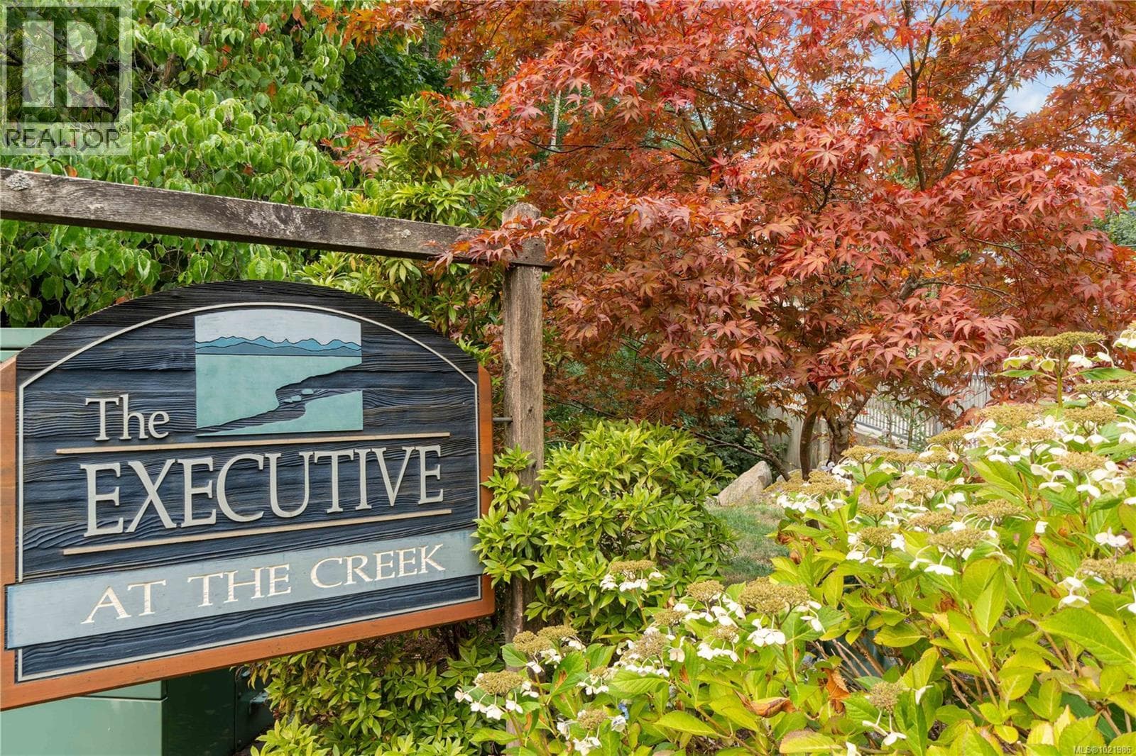 Ladysmith — Ladysmith - Main photo