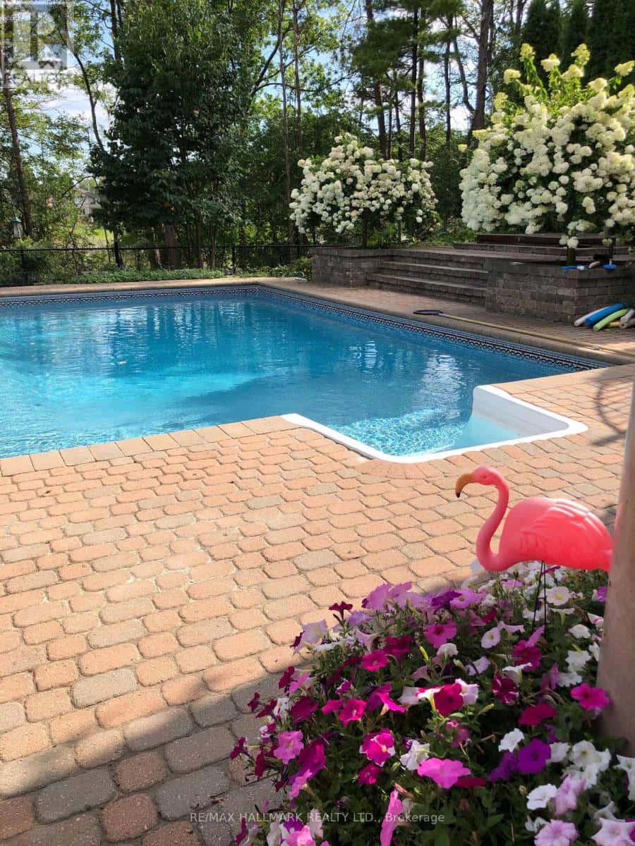 Richmond Hill (Oak Ridges Lake Wilcox) — Richmond Hill (Oak Ridges Lake Wilcox) - Photo 4 of 50