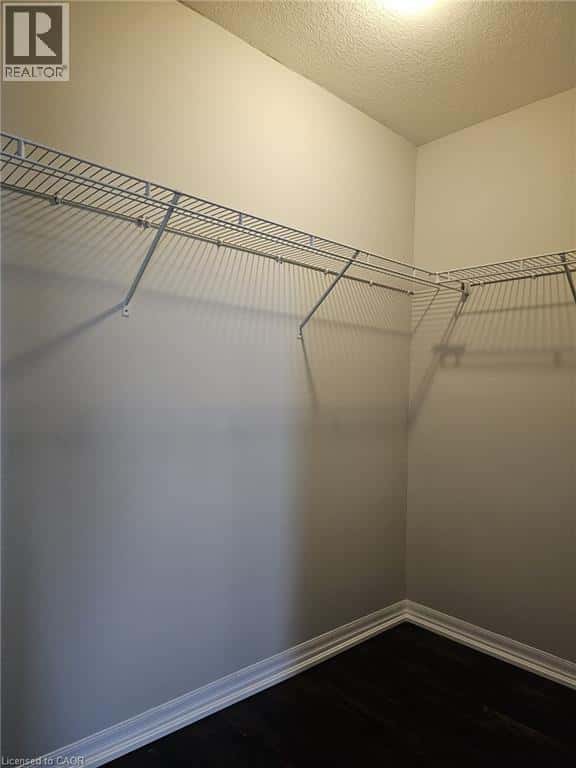 Kitchener — Kitchener - Photo 3 of 13