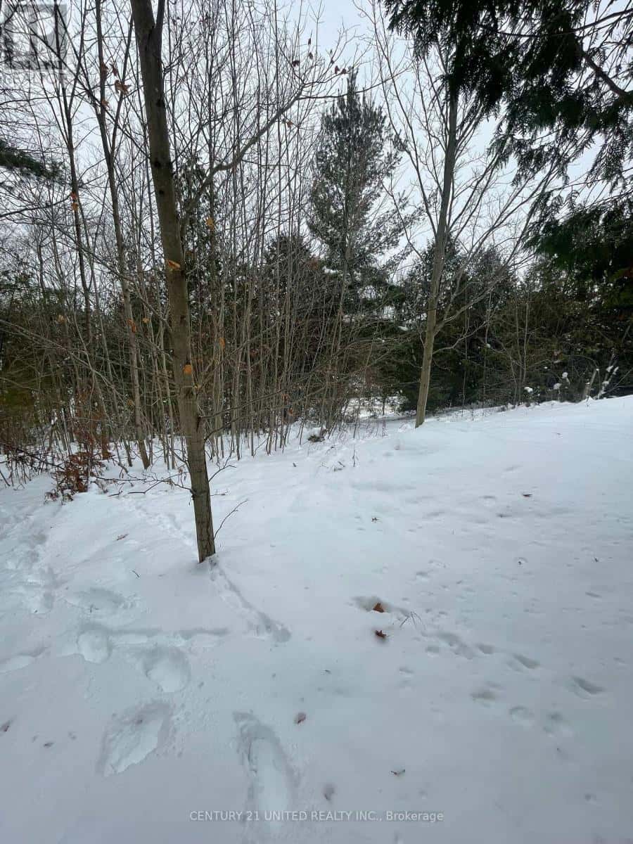 Trent Hills — Trent Hills - Photo 5 of 10