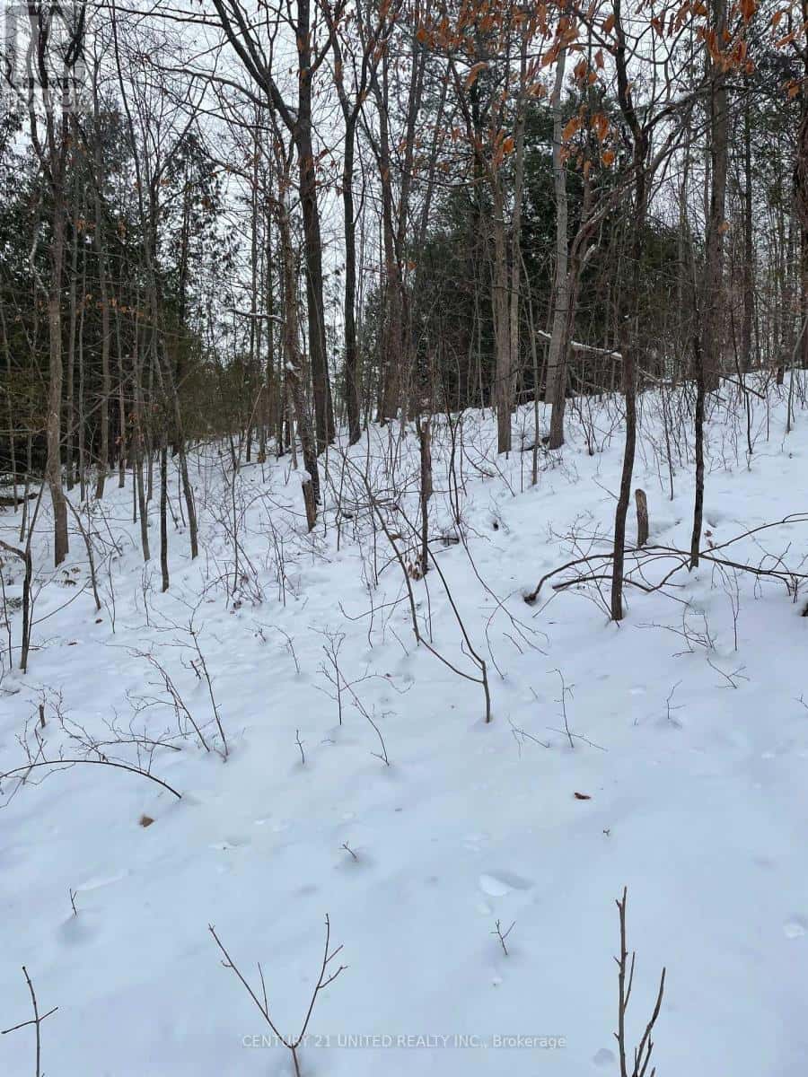 Trent Hills — Trent Hills - Photo 2 of 10