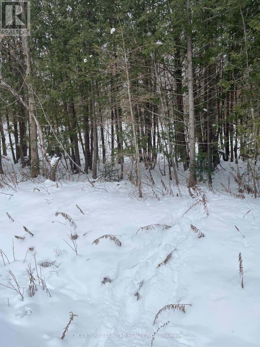 Trent Hills — Trent Hills - Photo 3 of 10