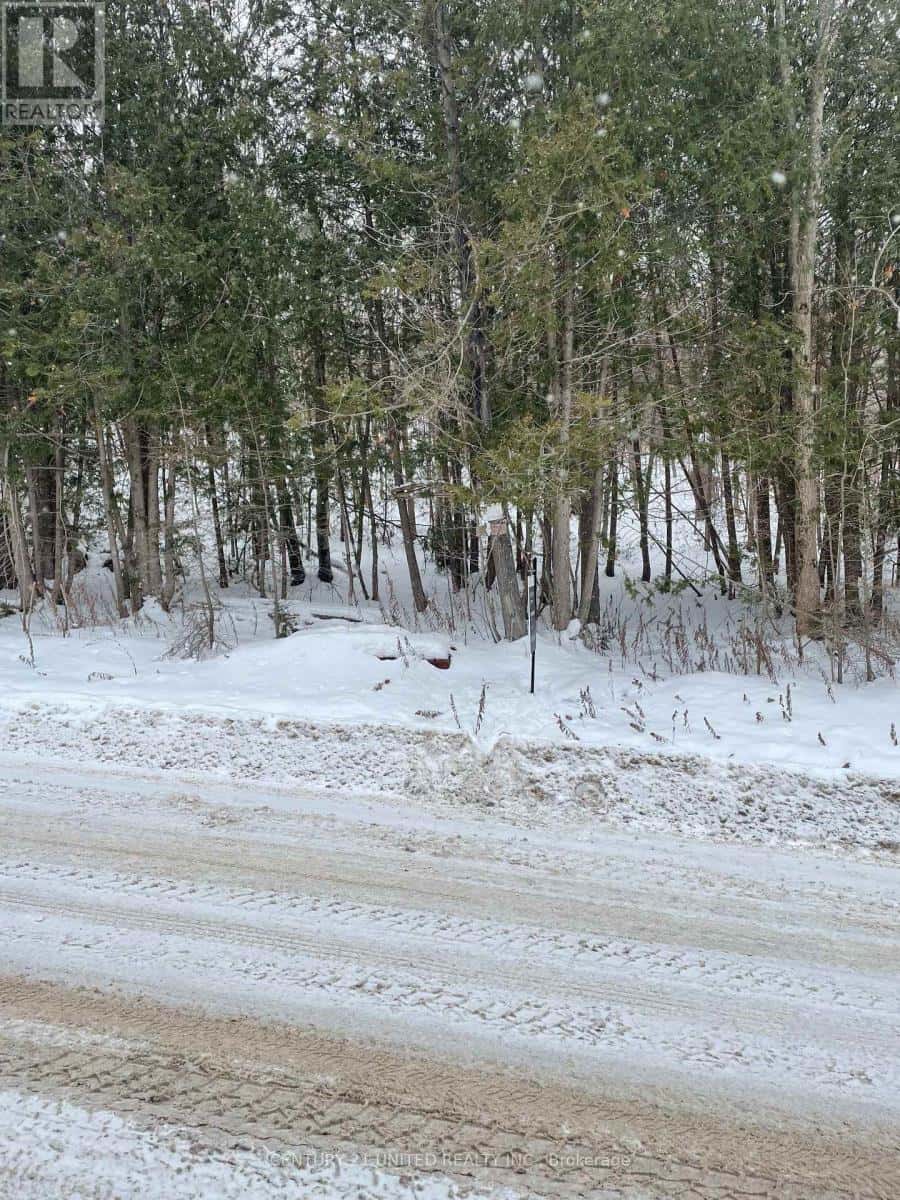 Trent Hills — Trent Hills - Photo 4 of 10