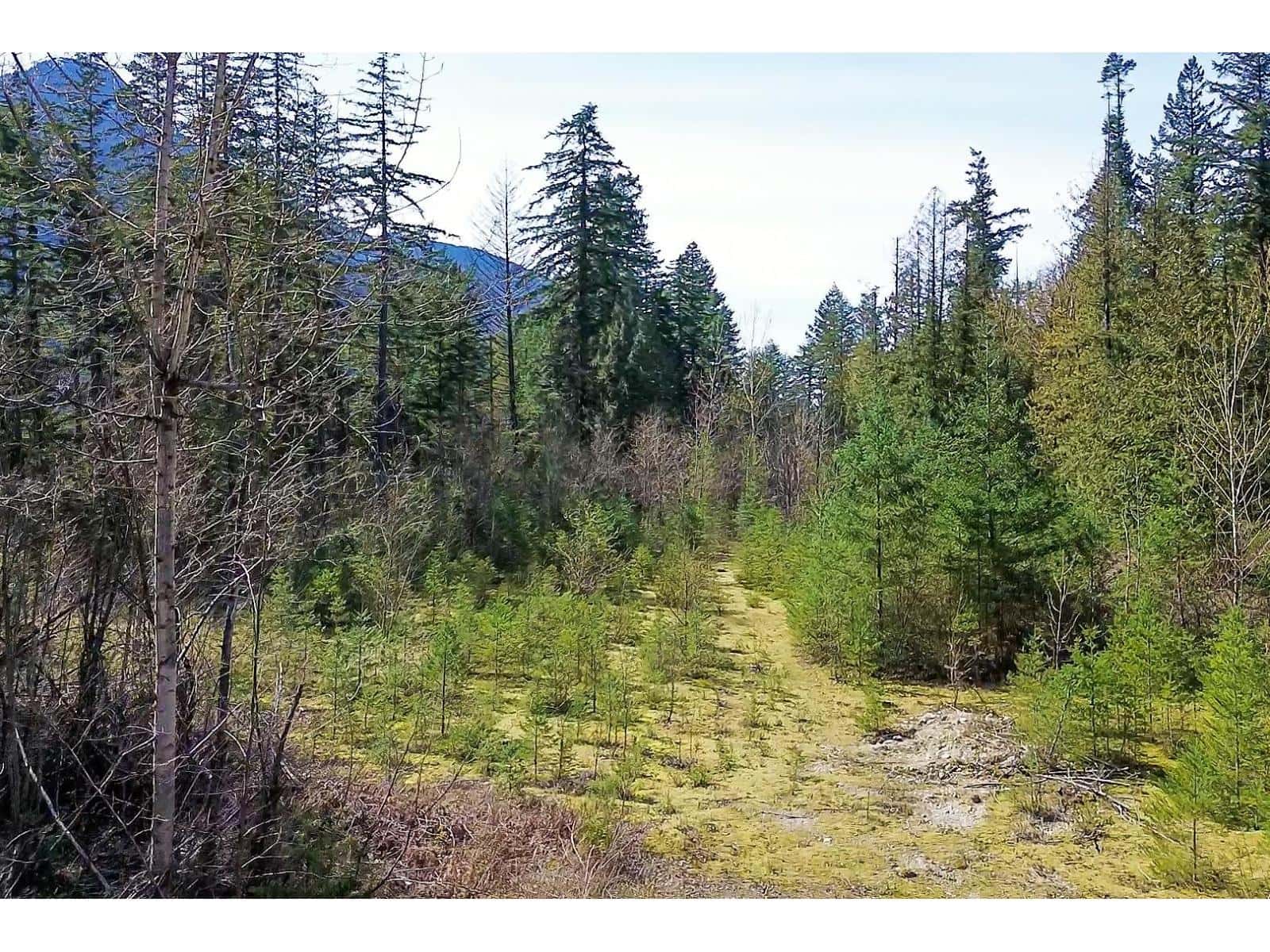 Hope — Hope - Photo 3 of 20