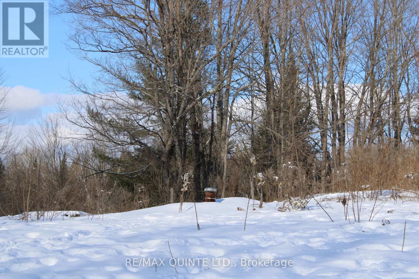 494 TWIN SISTER LAKES ROAD — Marmora and Lake (Marmora Ward) - Main photo