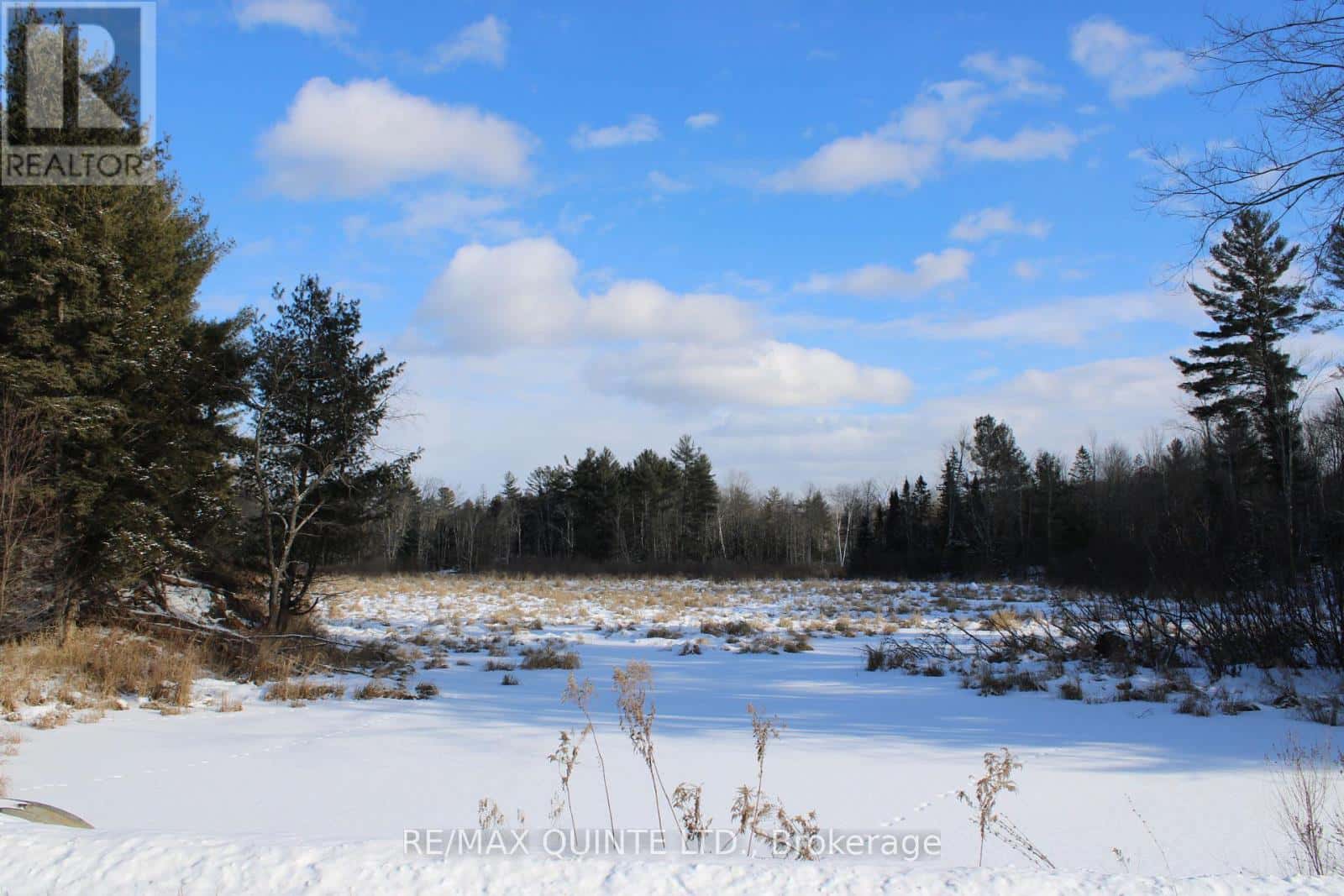 494 TWIN SISTER LAKES ROAD — Marmora and Lake (Marmora Ward) - Photo 3 of 38