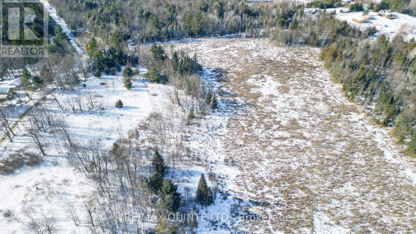 494 TWIN SISTER LAKES ROAD — Marmora and Lake (Marmora Ward) - Photo 5 of 38