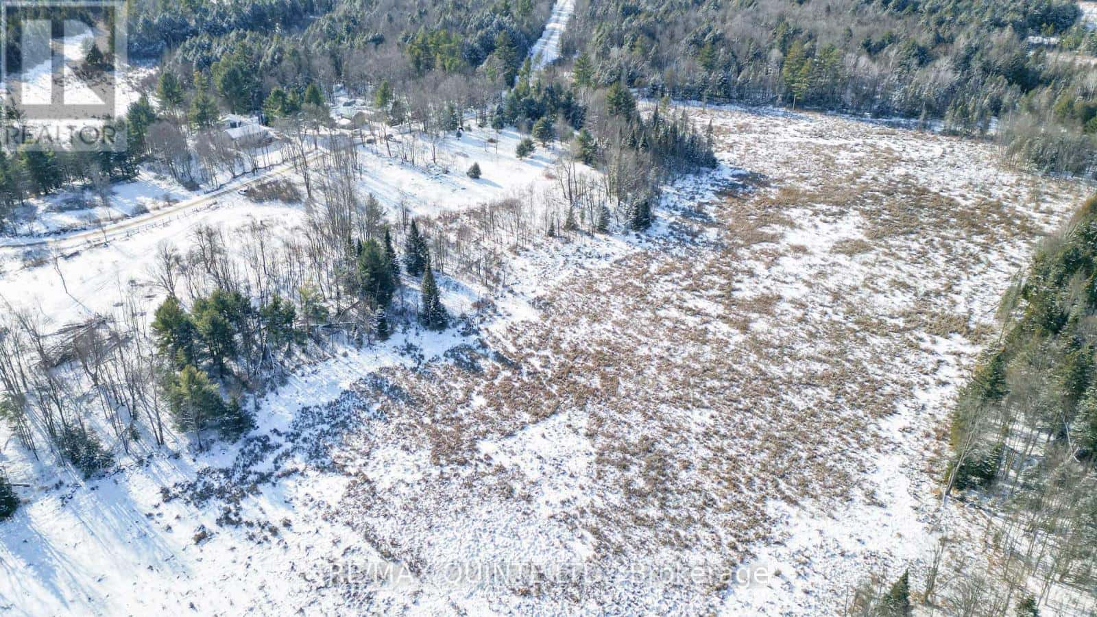 494 TWIN SISTER LAKES ROAD — Marmora and Lake (Marmora Ward) - Photo 4 of 38