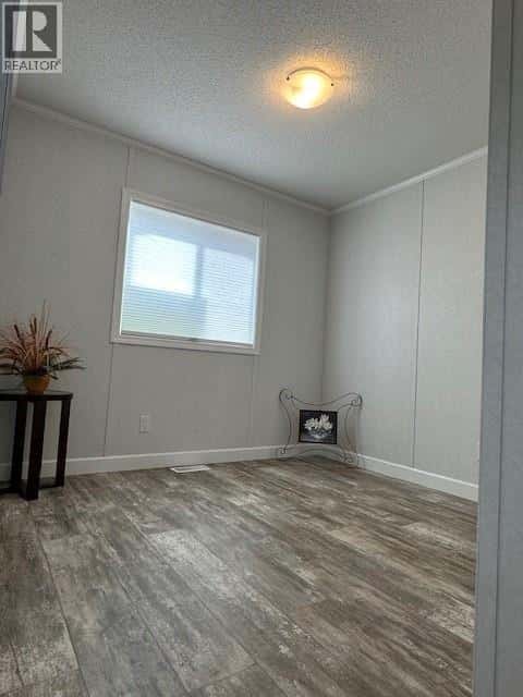 Chase — Chase - Photo 5 of 19