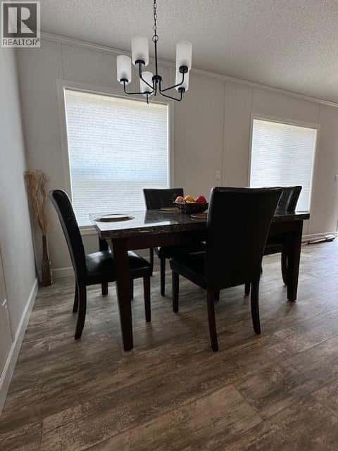 Chase — Chase - Photo 2 of 19