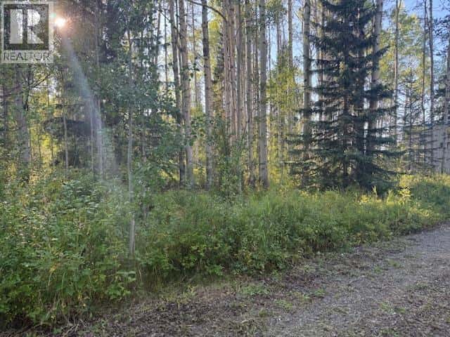 23803 WALCOTT ROAD — Telkwa, British Columbia - Photo 5 of 10