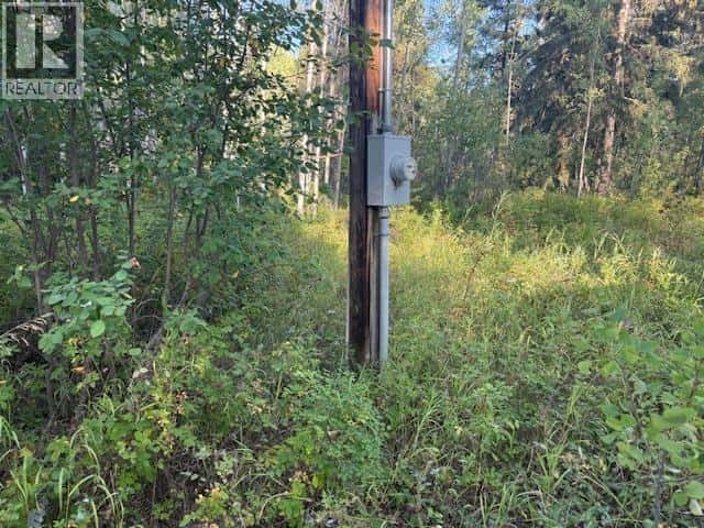 23803 WALCOTT ROAD — Telkwa, British Columbia - Photo 4 of 10