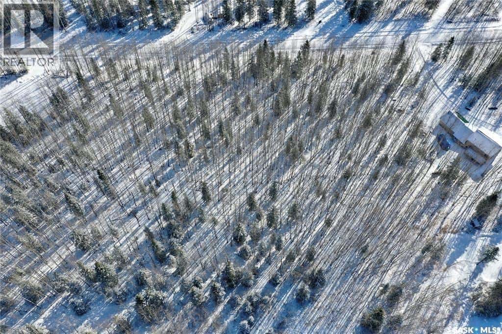 120 Aspen WAY — Candle Lake - Photo 4 of 7