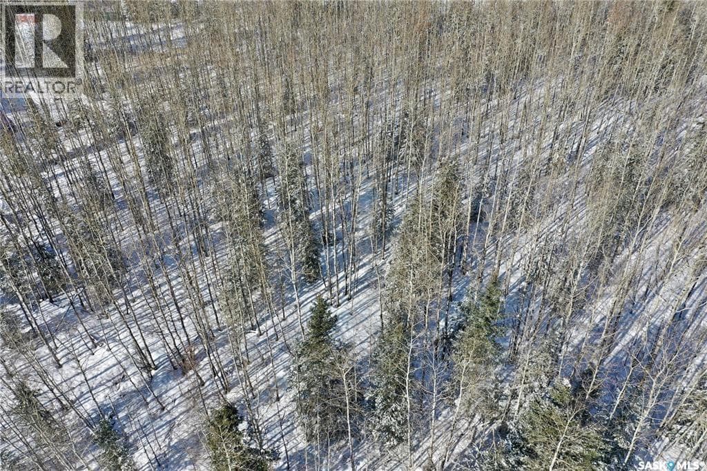 120 Aspen WAY — Candle Lake - Main photo