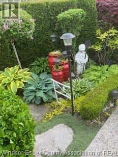 Windsor — Windsor - Photo 2 of 48