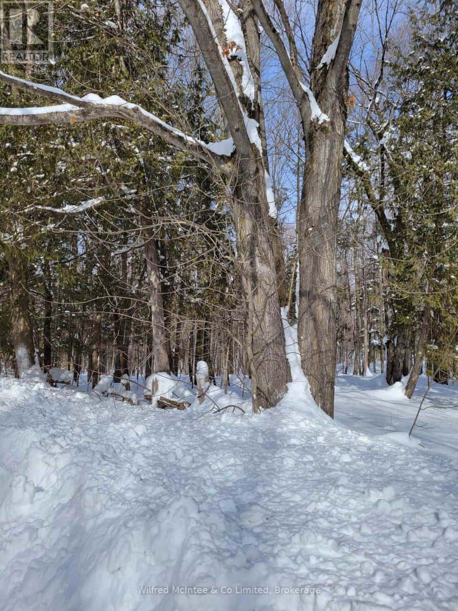 West Grey — West Grey - Photo 2 of 4