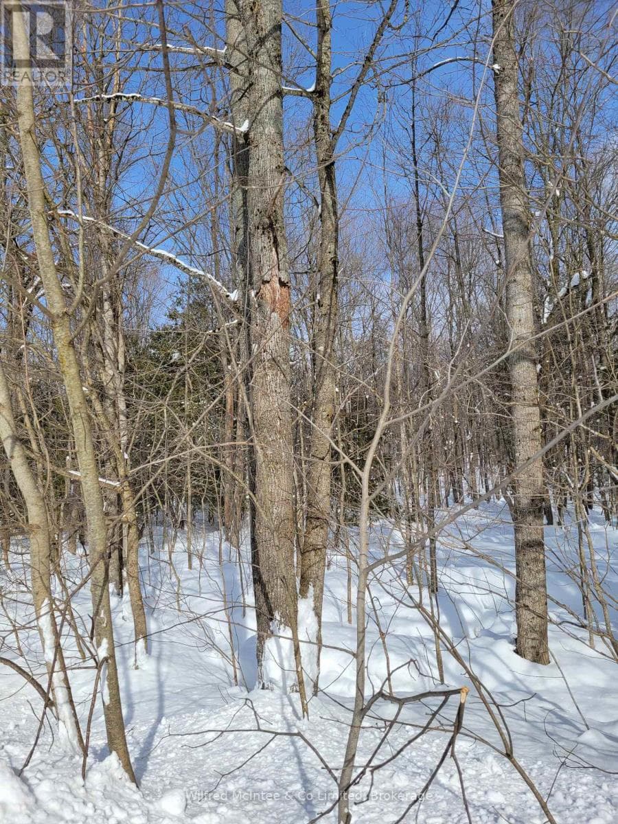 West Grey — West Grey - Main photo