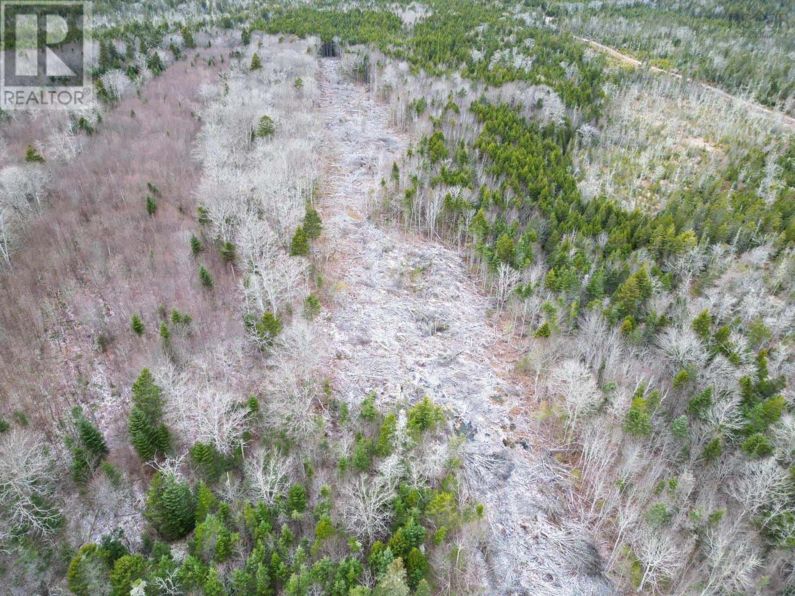 St. Alphonse — St. Alphonse - Photo 2 of 16