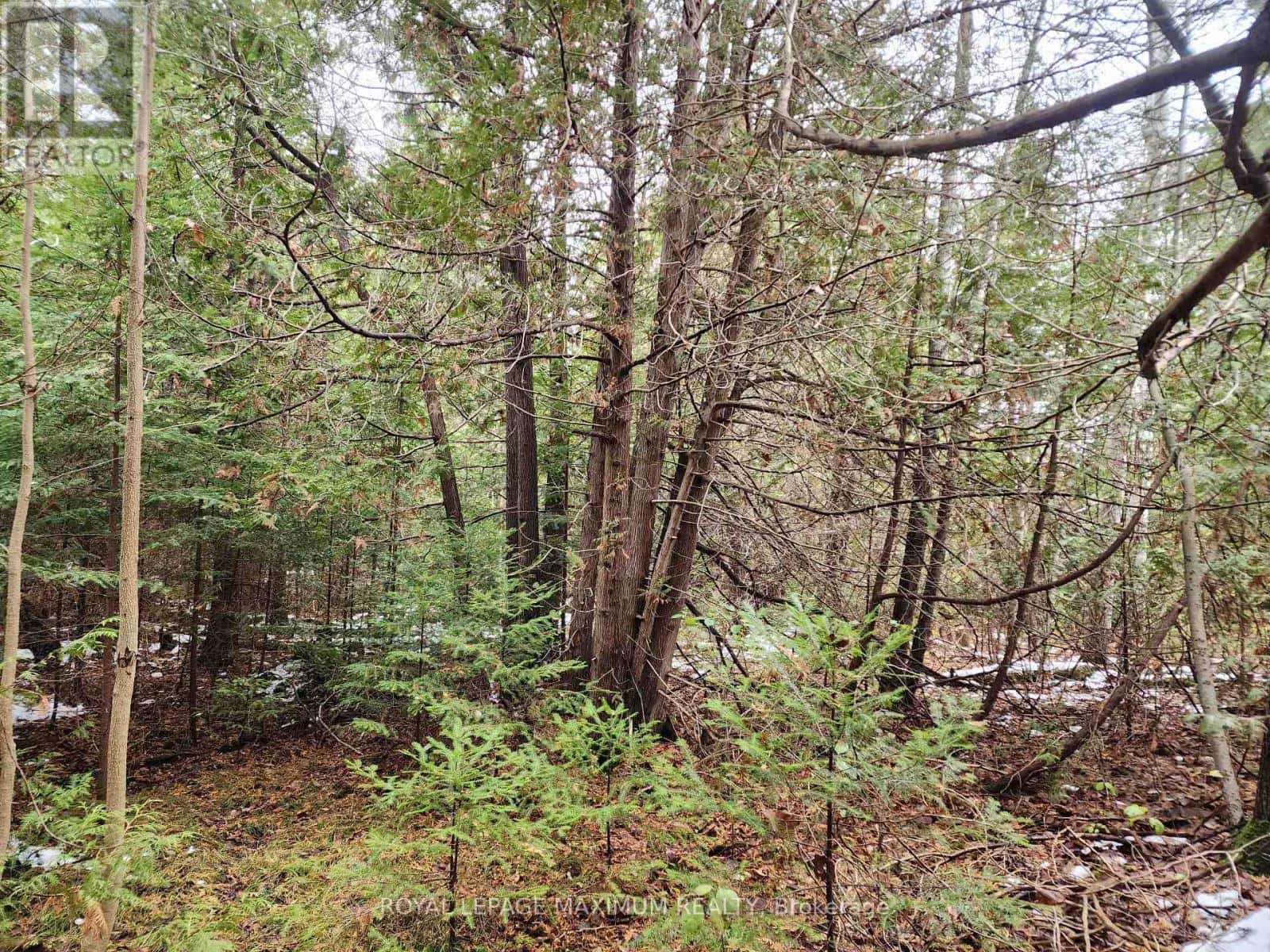 10189 CONCESSION 3 ROAD — Uxbridge, Ontario - Photo 3 of 11